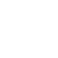Publicist